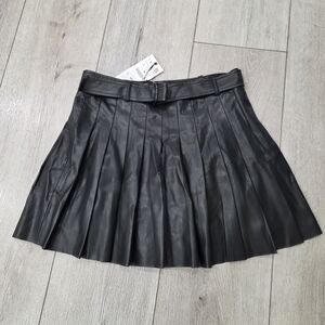 Zara Black Pleated Skater Skirt